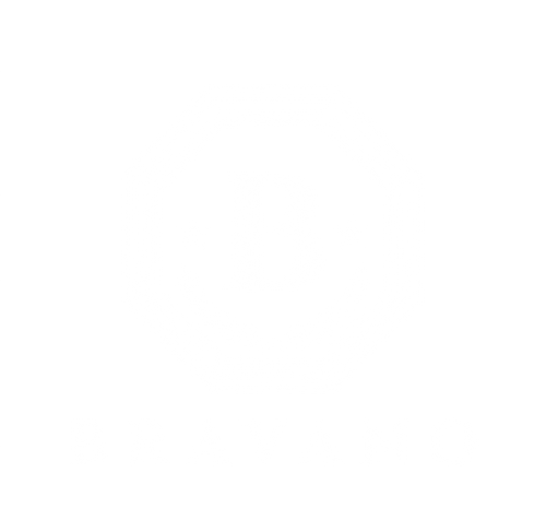 bravano logo white