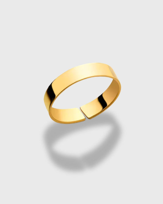 Bravano© Warden Ring